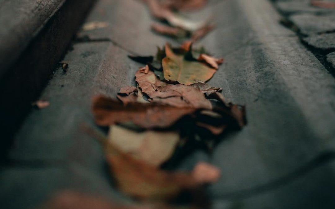 Winter Is Coming: 4 Essential Cold Weather Tasks Colorado Landlords Should Tackle in September