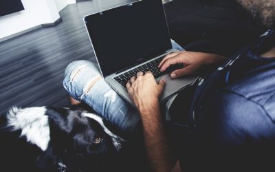 How to Manage Time Effectively. Real Estate Business at Home.